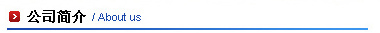 公司简介